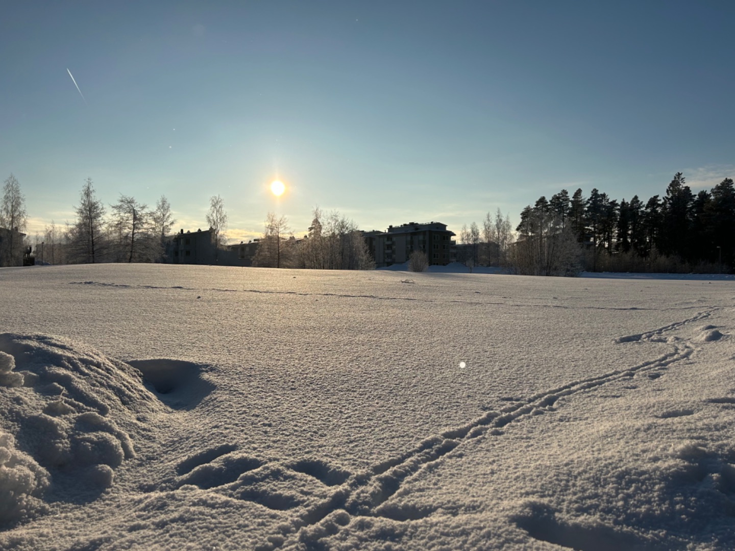 Gnistrande vackert Västerbotten Winter Classic X