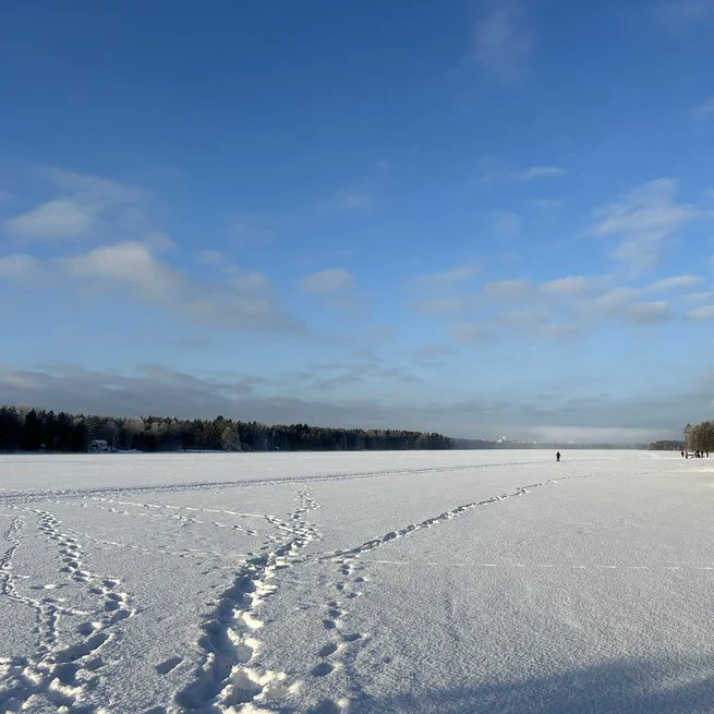 Gnistrande vackert Västerbotten Winter Classic X